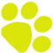 Yellow-Dog-logo